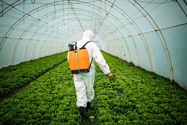 Pest Control for Restaurants in Yonkers, NY