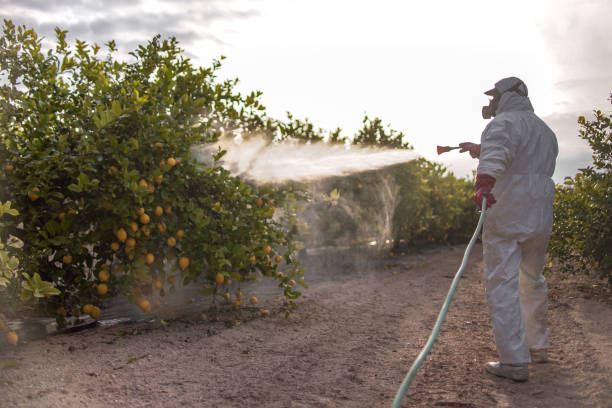 Best Commercial Pest Control Services  in Yonkers, NY