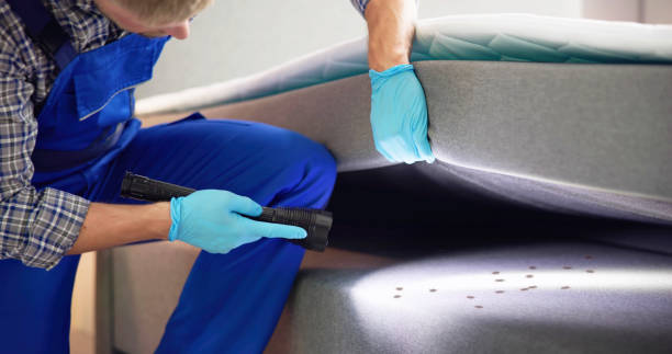 Best Flea Control Services  in Yonkers, NY