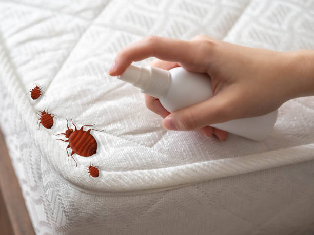 Pest Control Cost in Yonkers, NY