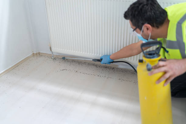Best Ant Control Services  in Yonkers, NY