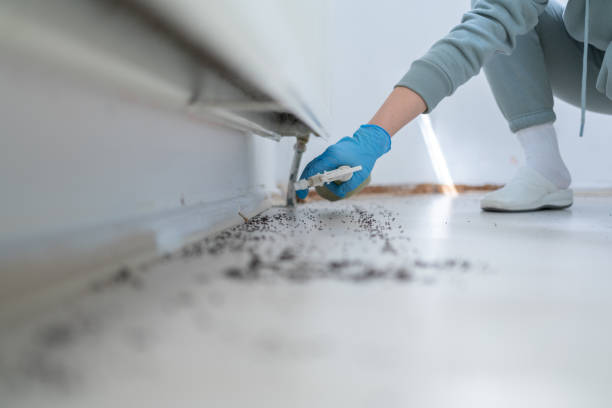 Best Best Pest Control Companies  in Yonkers, NY